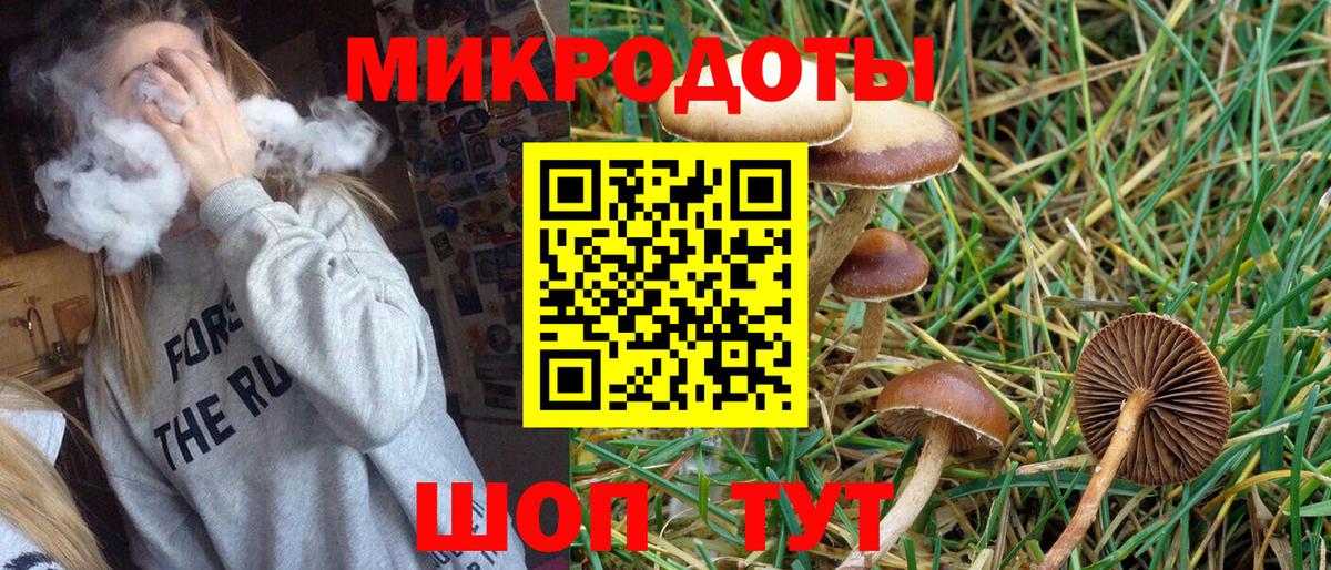 Гудермес  Псилоцибиновые грибы прущие грибы  даркнет сайт  Вход с VPN 