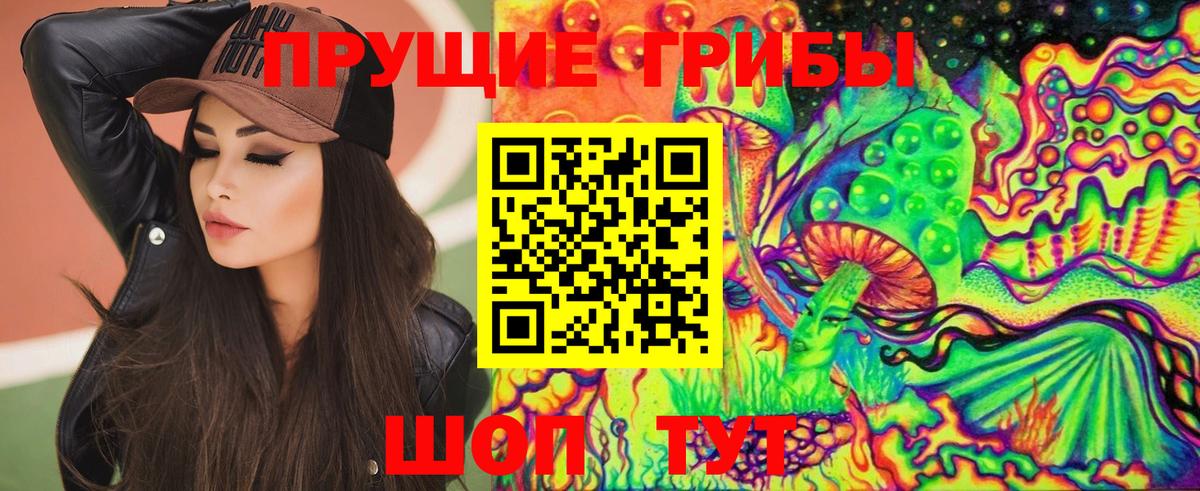Галлюциногенные грибы Cubensis Гудермес